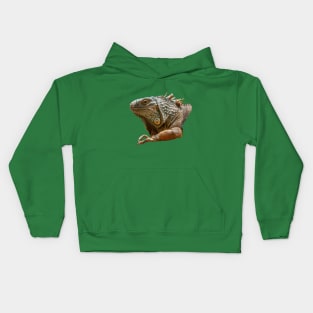 American Iguana Kids Hoodie